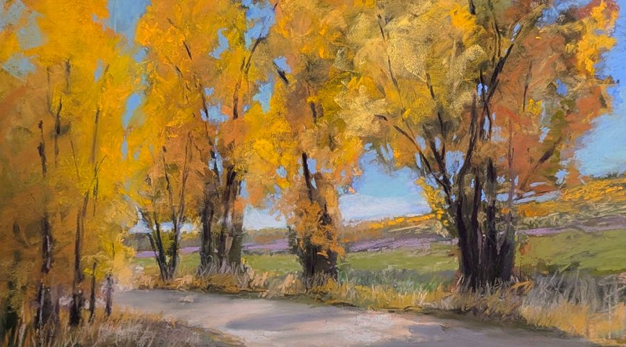 Autumn Colors in Steamboat Springs, Colorado